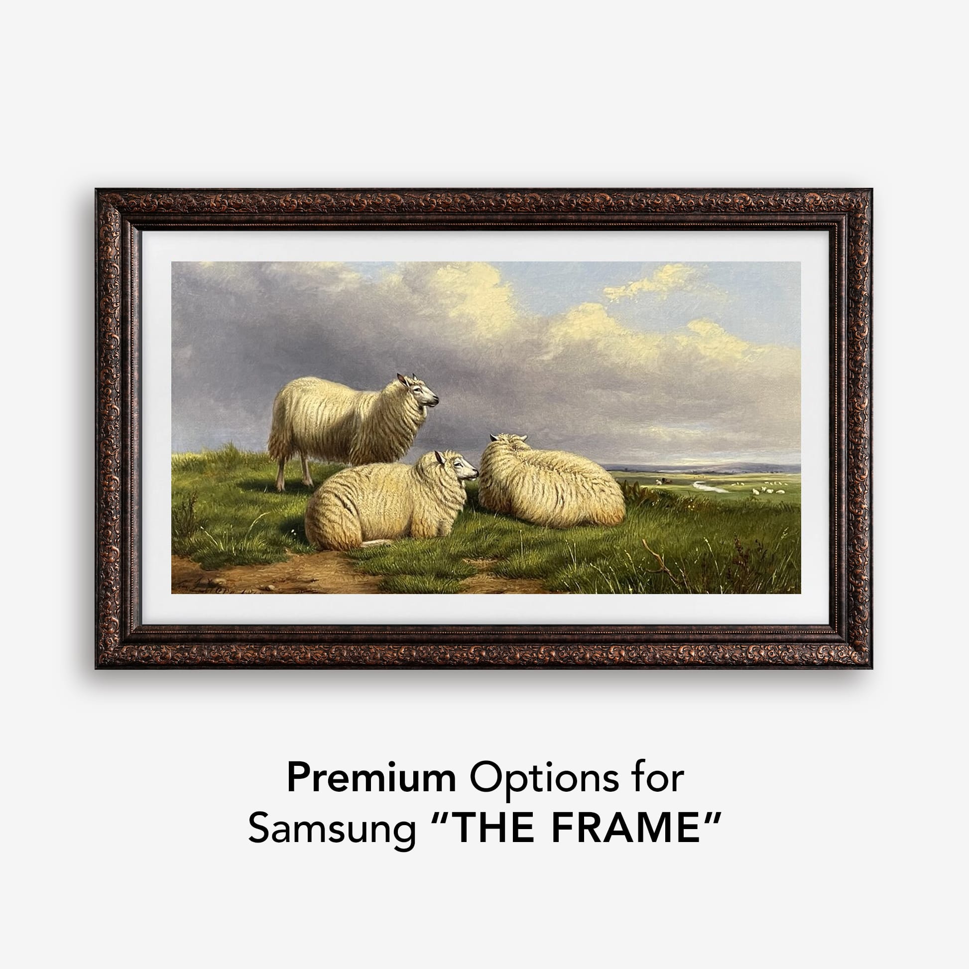 Rome Dark Brown Tv Frame