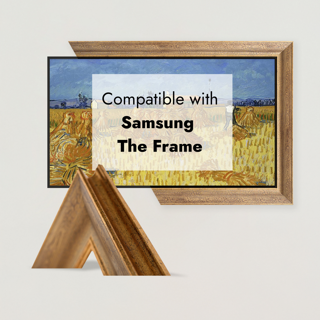 LISBON DESERT TV Frame