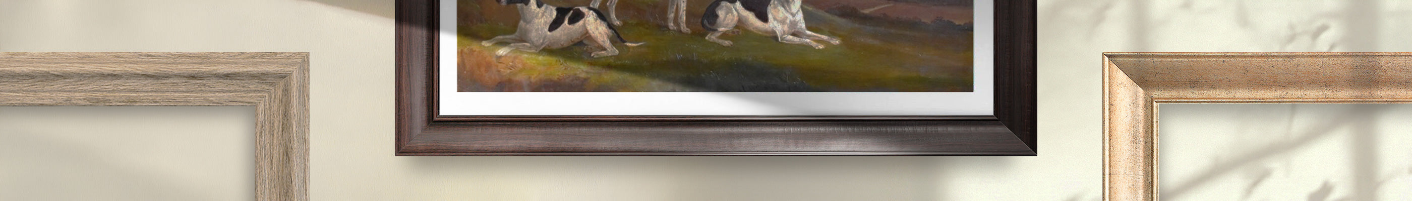 collection-banner-image