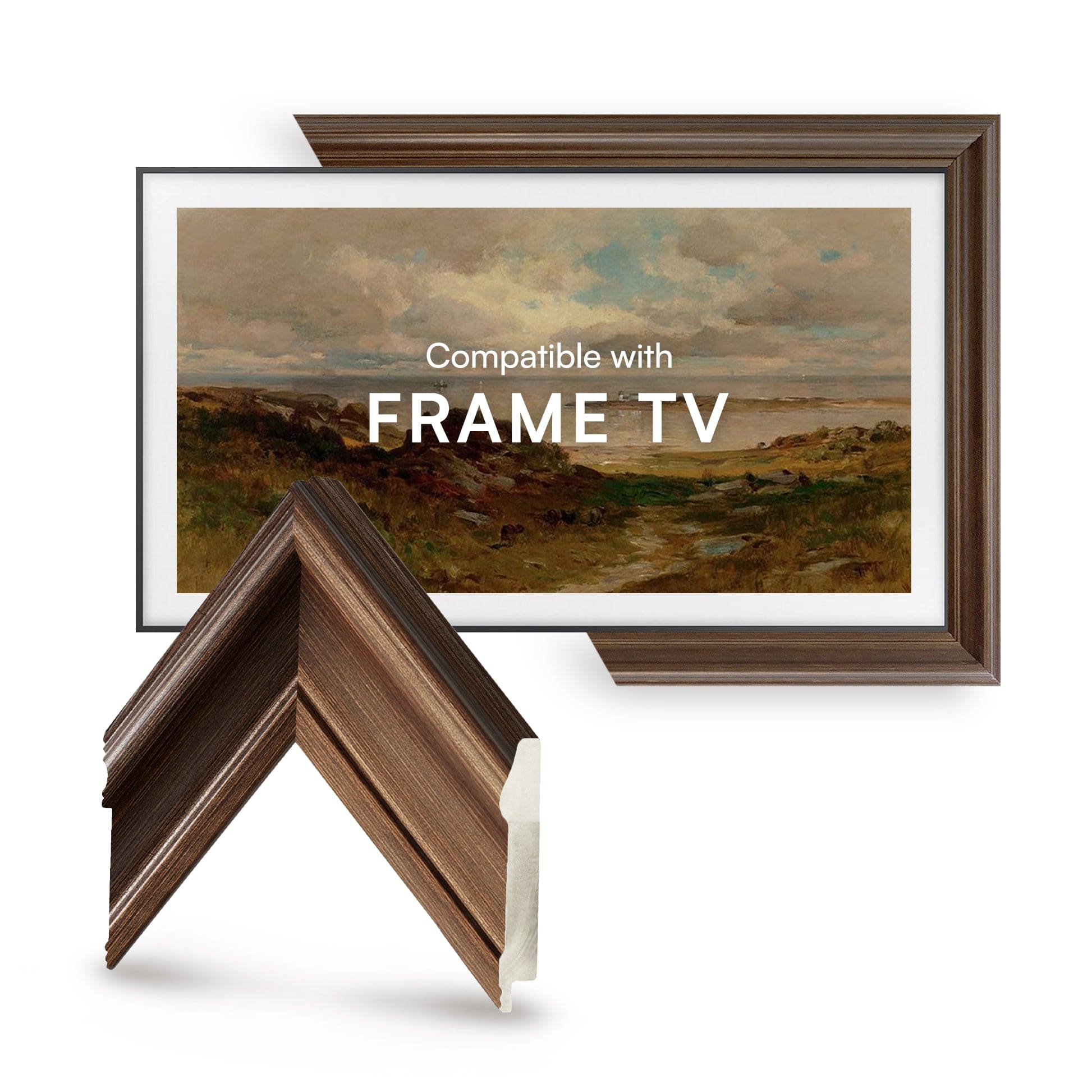 KYOTO TV FRAME